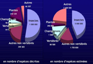 Nombre d'espèces de différents groupes d'organismes (Source : http://education.francetv.fr)