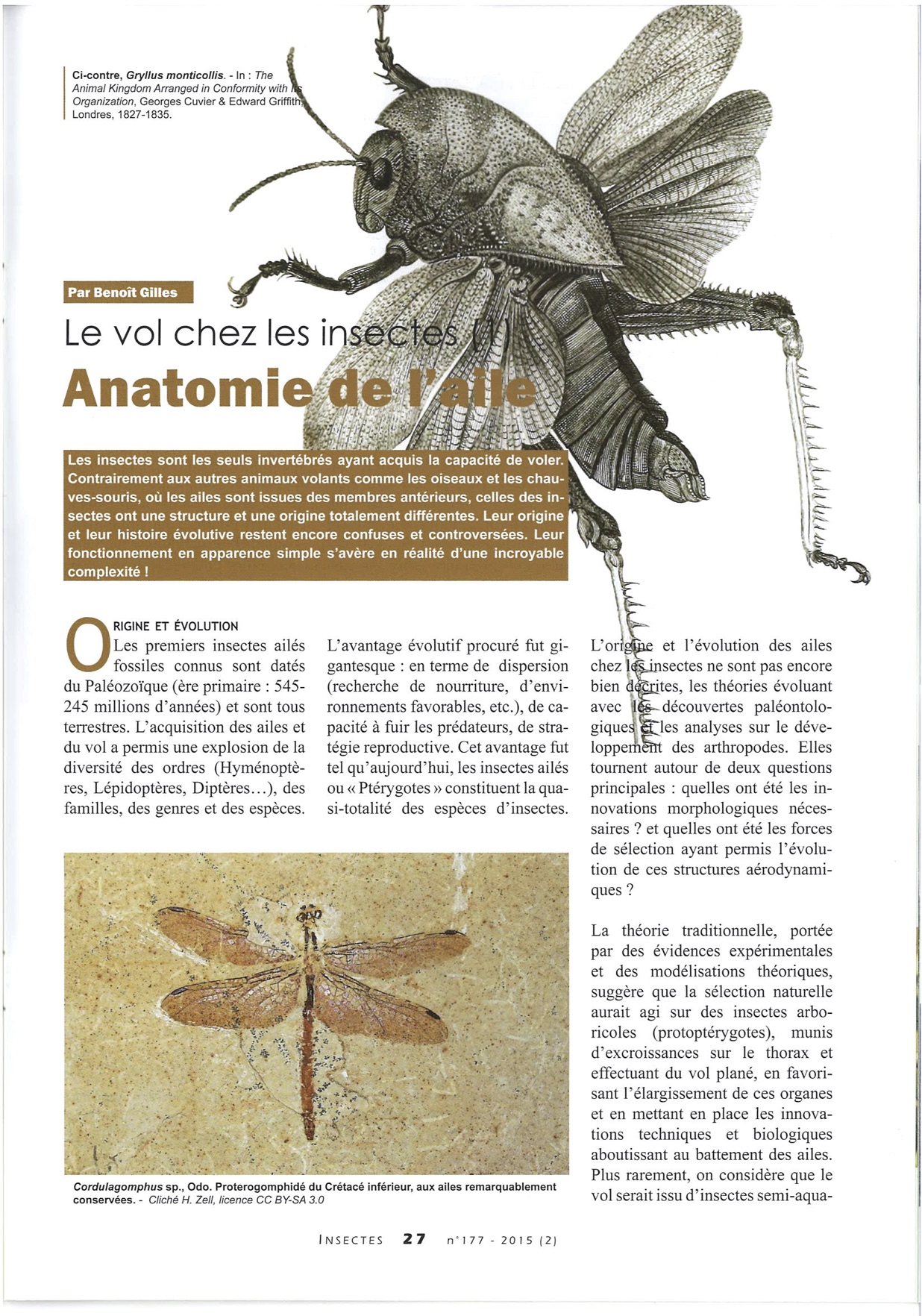 Publication dans la revue Insectes – Juillet 2015 – n°177