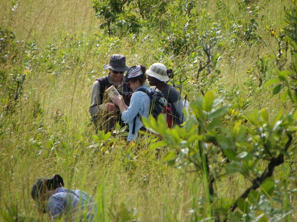 Nicolas MOULIN au cours d'un atelier Entomo au Parc National de Lopé - Gabon (2014) (Source : Barbara EVRARD)