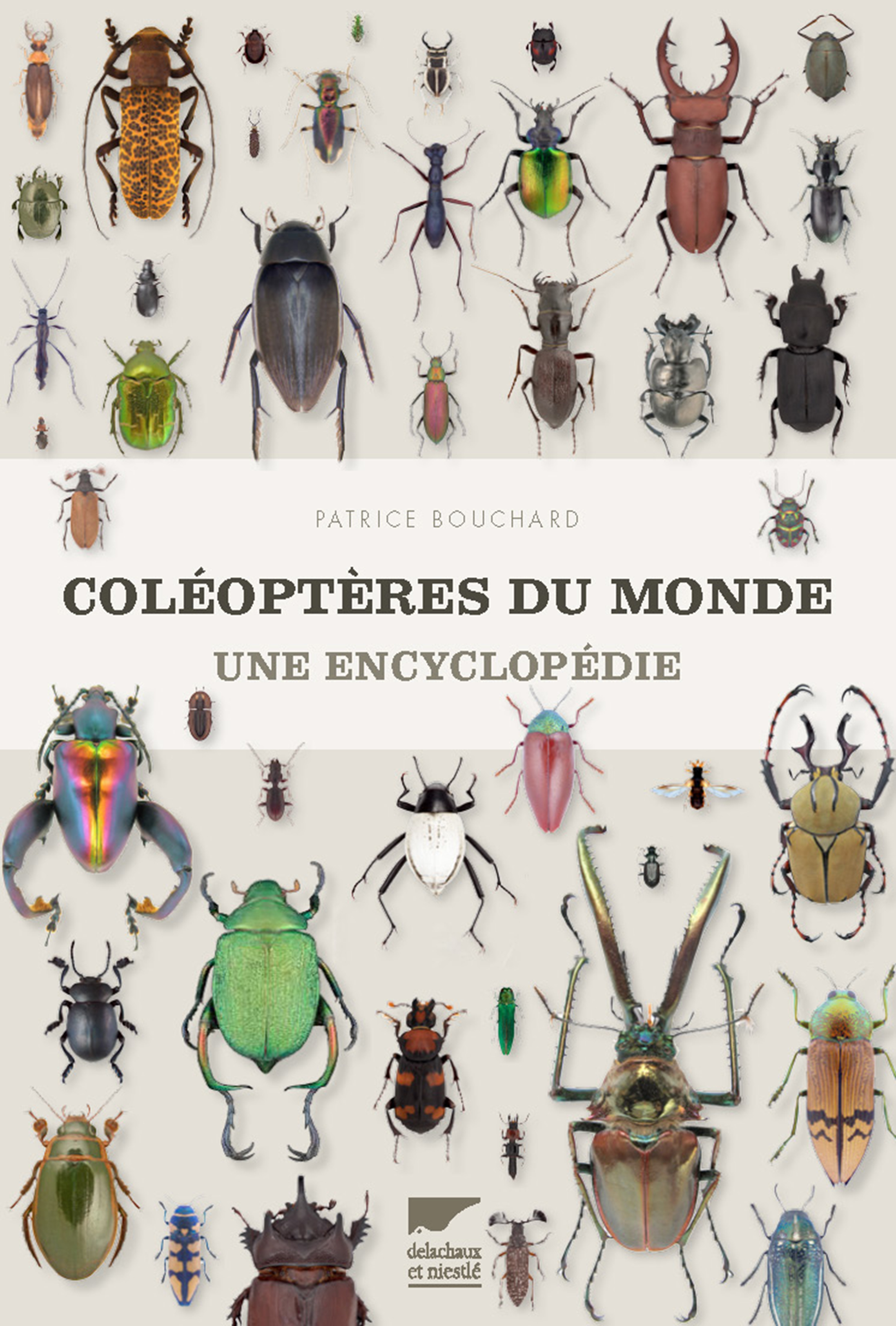 Coléoptères du monde : une encyclopédie – Interview de Patrice Bouchard