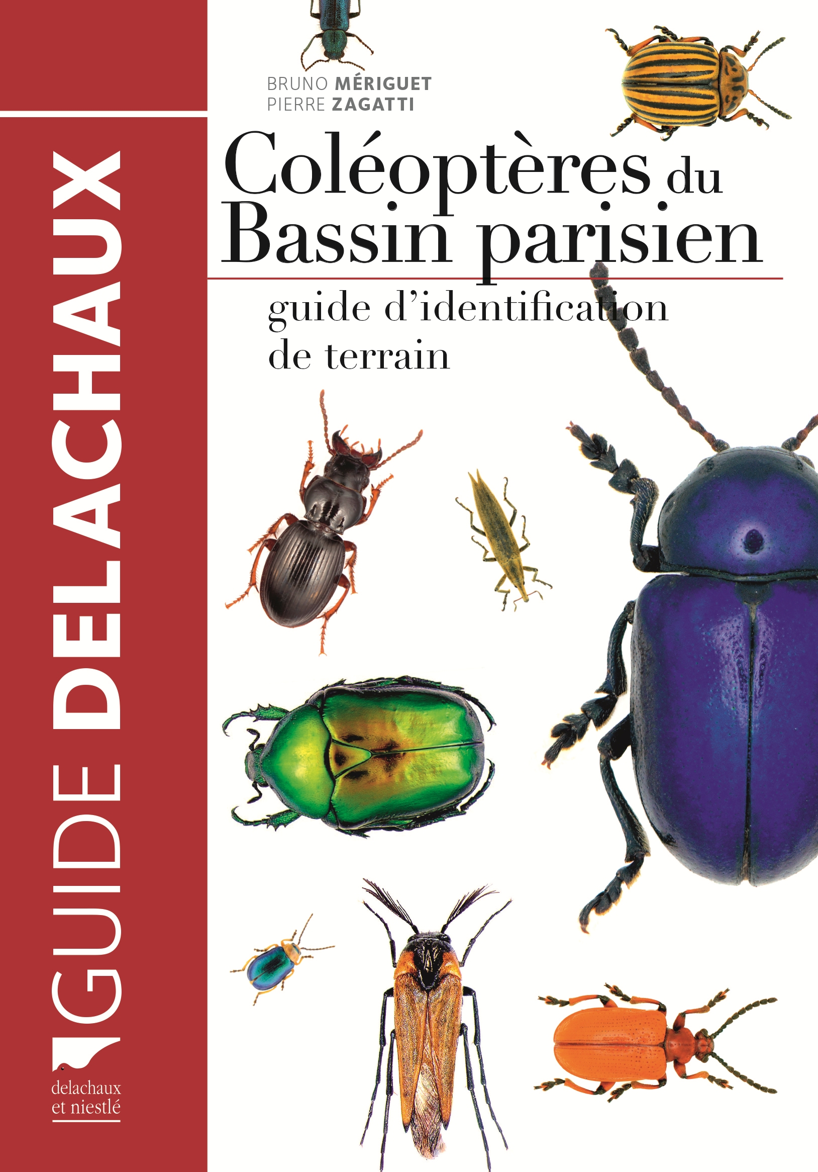 Cover of the book : Beetles of the Paris Basin (Source : B. Meriguet & P. Zagatti, Delachaux&Niestlé-2016)