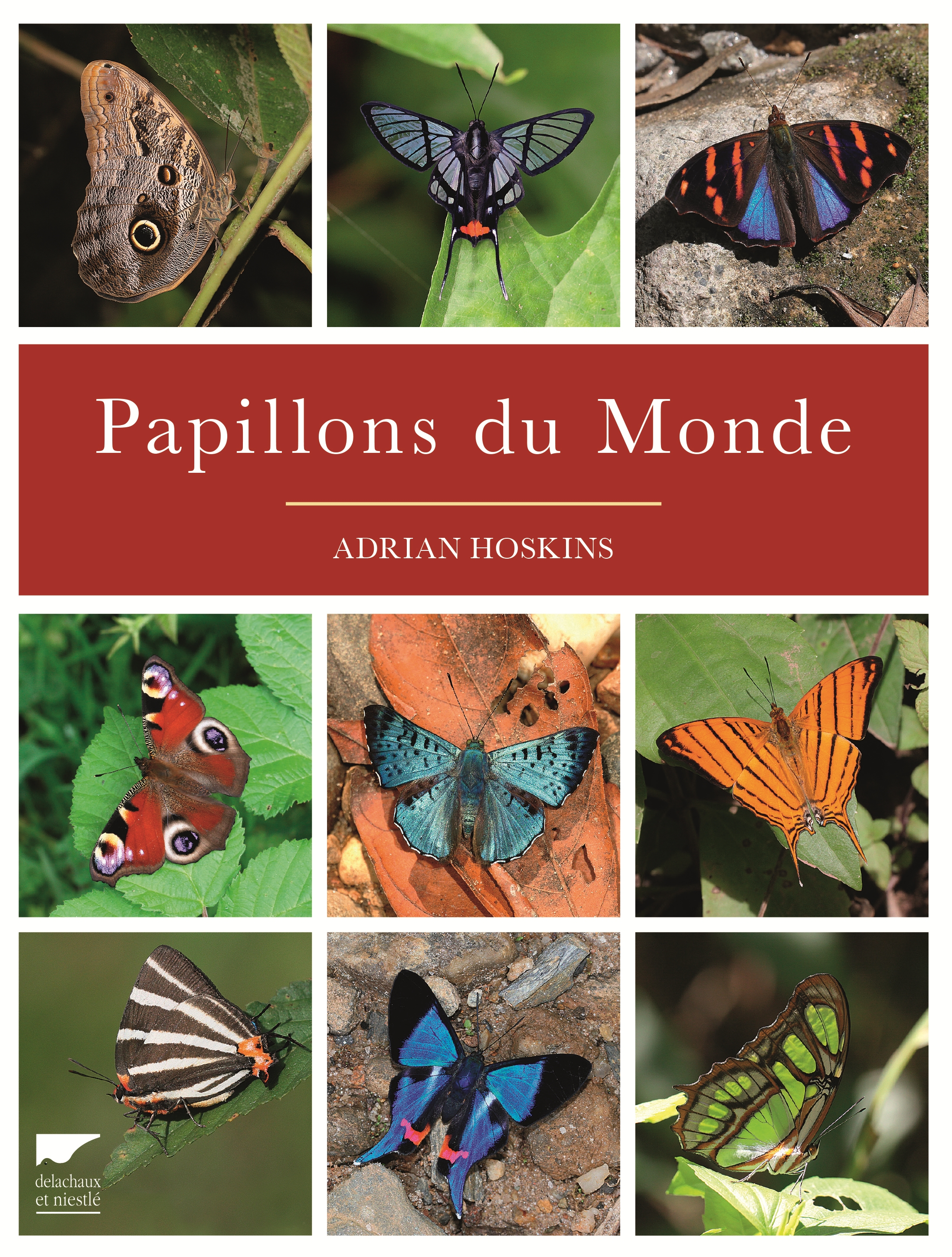 Cover page : World butterfly - Adrian Hoskins (Delachaux and Niestlé - June 2016)