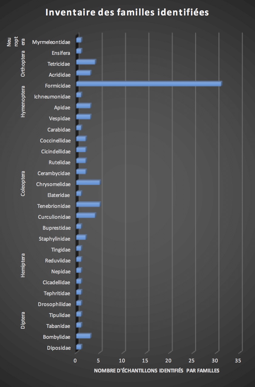 Inventaire, non exhaustif, des différentes familles collectées et identifiées (Source : B. GILLES-2016)