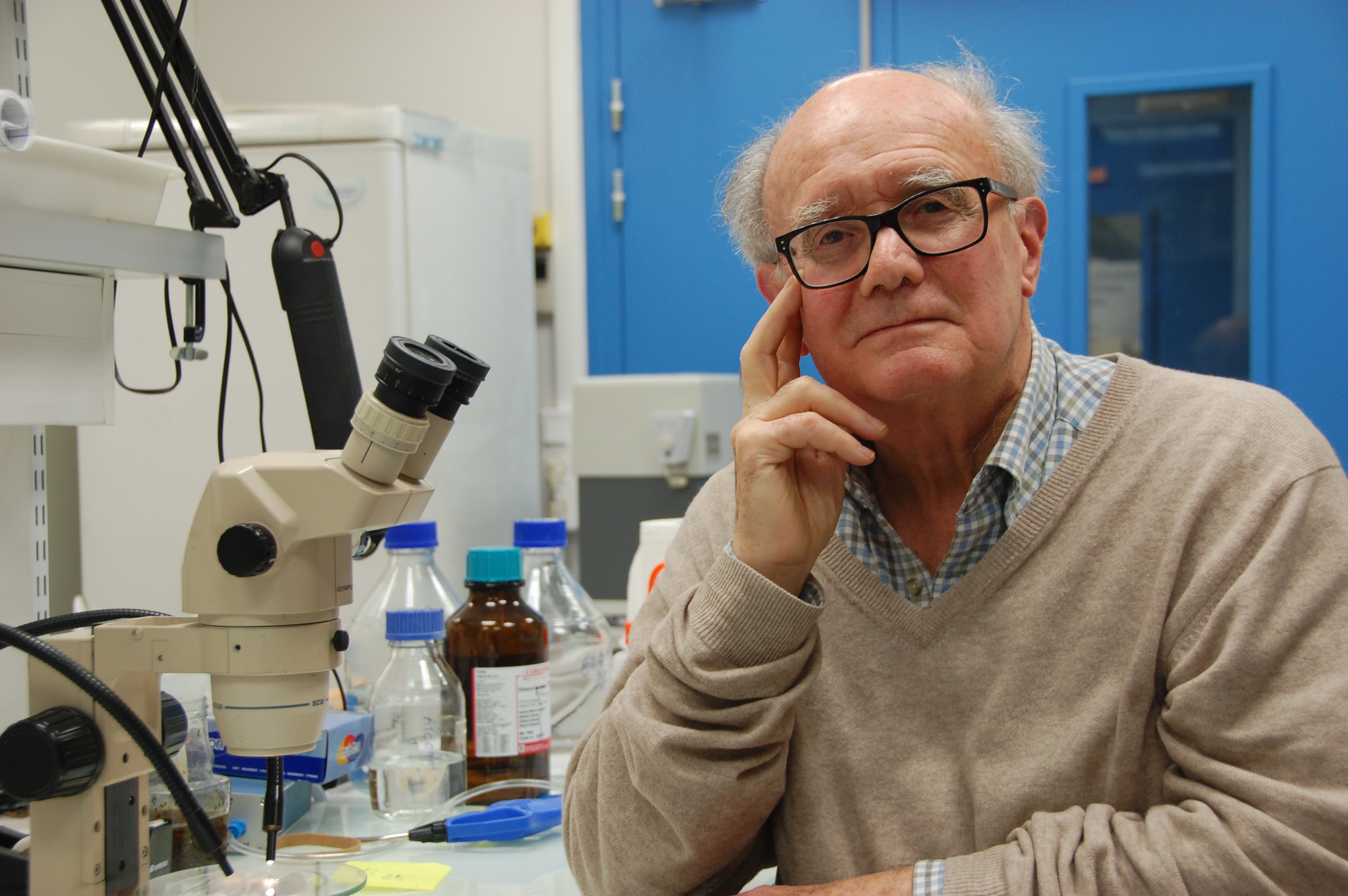 Yves Carton - Directeur de Recherche émérite au CNRS (Source : Y. Carton)