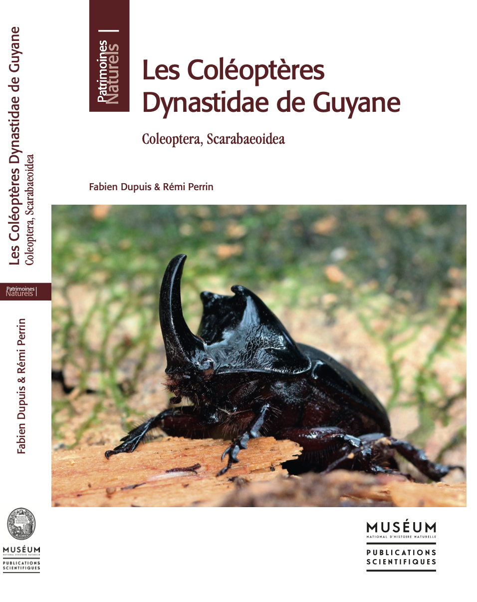 Les Coléoptères Dynastidae de Guyane – Fabien Dupuis & Rémi Perrin