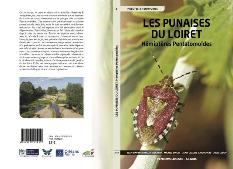 Les Punaises du Loiret – Hémiptères Pentatomoïdes