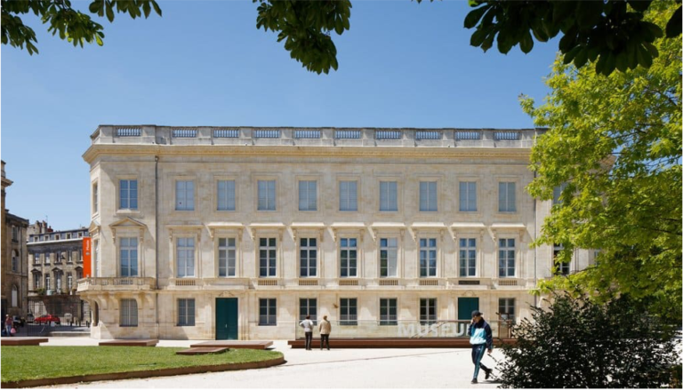 Jérémy Minguez – Entomologiste dans les collections du Muséum de Bordeaux
