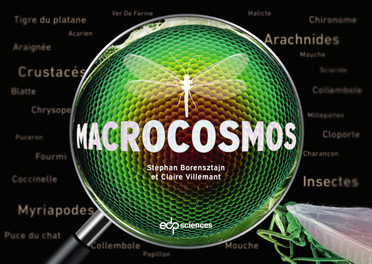 Parution de Macrocosmos, ouvrage de Claire Villemant et de Stephan Borensztajn