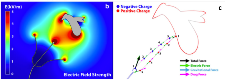 Électricité statique et insectes pollinisateurs