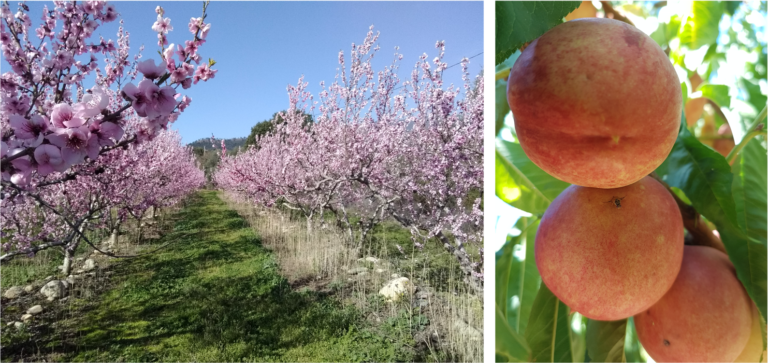 Interview : Jérémy Desplanques