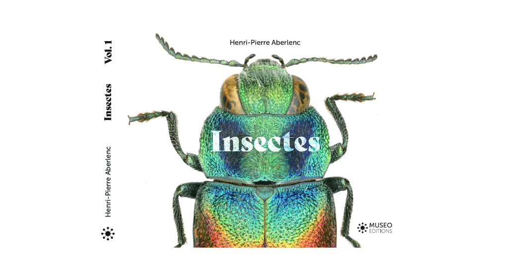 « Insectes », le nouvel ouvrage de Henri-Pierre Aberlenc – Interview de l’auteur