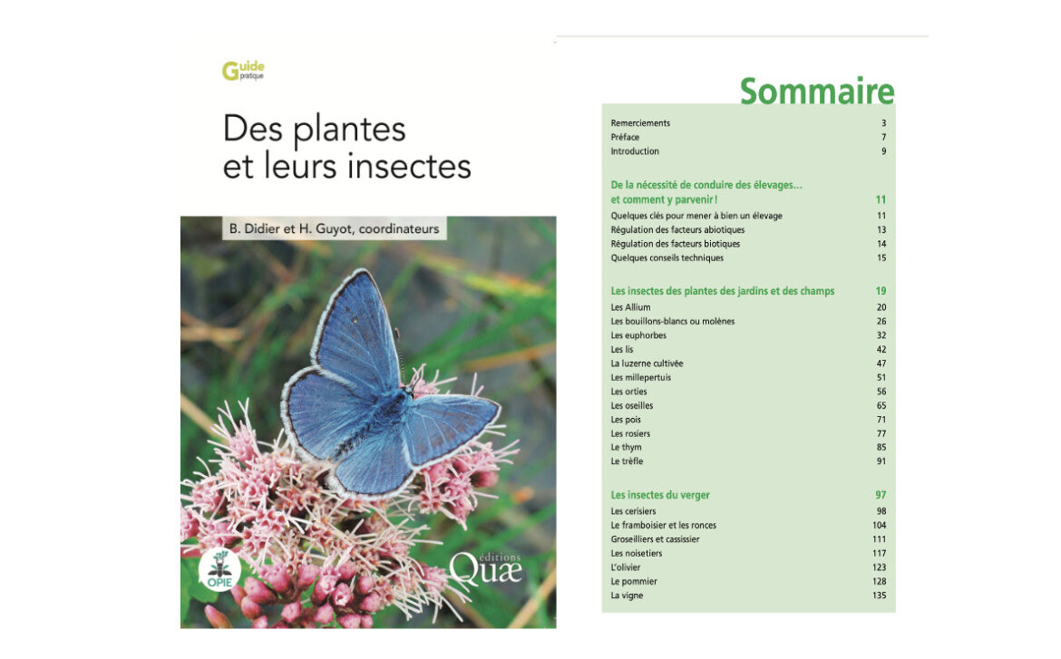 Nouvelle édition « Des plantes et leurs insectes » – B. Didier & H. Guyot