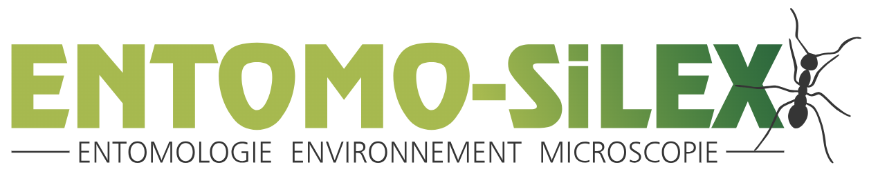 Entomo-Silex